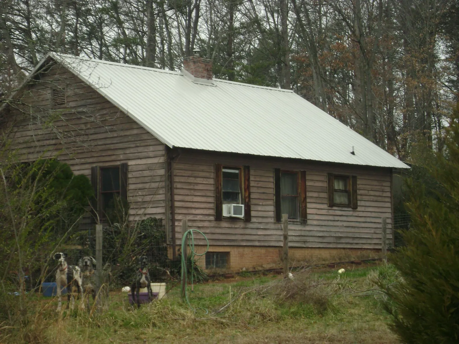 White metal roof on an old wood sided farmhouse, from a Asphalt Shingle Roof Repair job in Falmouth